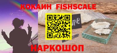 индика Кунгур