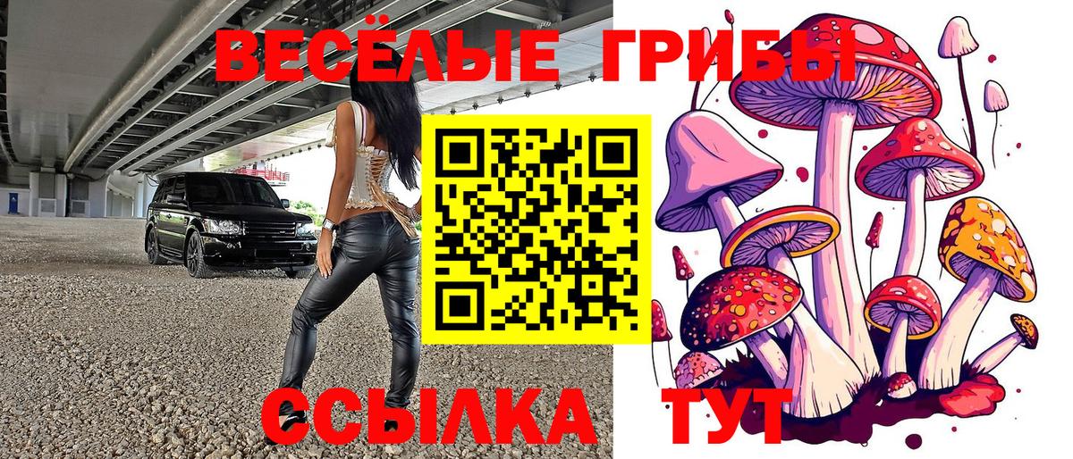 Ейск  Псилоцибиновые грибы ЛСД  Вход с VPN 